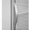 Armoire Réfrigérée Vitrée TEFCOLD - Balta - 350 L: Optimalus maisto produktų laikymas ir produktų matomumas.