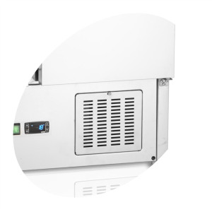 Saladette Šaldytuvas GN 1/1 Nerūdijantis plienas - 225 L, 2 Durys TEFCOLD: Veikimas ir praktiškumas