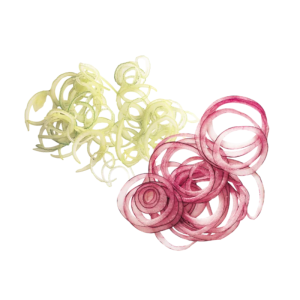 Pakuotė suvalgyti/restoranas užsakymui