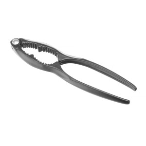 Riešutų knarklys ir jūros gėrybės - Hendi