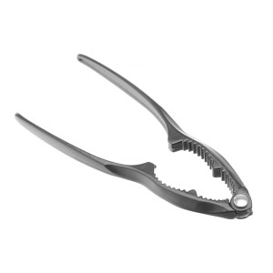 Riešutų knarklys ir jūros gėrybės - Hendi