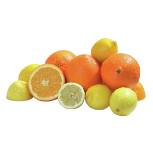 Profesionalus citrusinių spaudiklis Joy