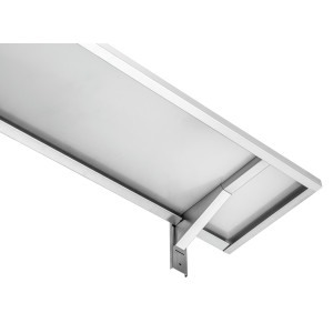 Kita sieninė lentyna