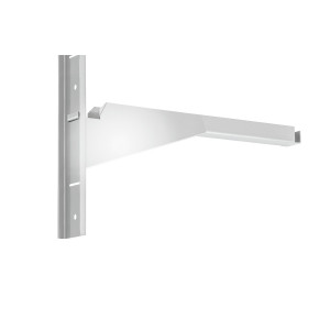 Kita sieninė lentyna