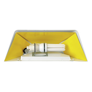 Vabzdžių gaudyklė Bartscher sienoje