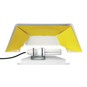 Vabzdžių gaudyklė Bartscher sienoje