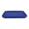 Blue Plastic Fast Food Tray - Olympia KRISTALLON - Fourniresto
