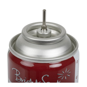 Pripildykite butanu 125g - FourniResto - Fourniresto