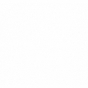 Vakuuminiai maišeliai su raštais 250 x 350 mm - 100 vnt.