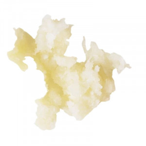 Smulkintuvas ridikų 1 mm - Robot-Coupe