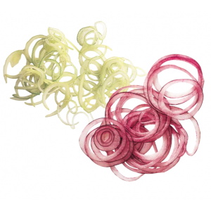 Diskas smulkintuvas pjovimo storis - 1 mm Robot-Coupe skirtas R 502 / R 502 VV / R 652 / R 652 VV