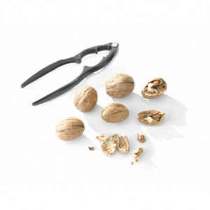 Riešutų knarklys ir jūros gėrybės - Hendi