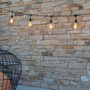 Šviestukų girlianda su šviesos lemputėmis - Mafy Light - Lumisky