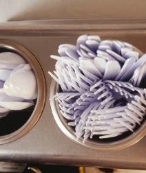 Vienkartiniai valgomojo įrankiai