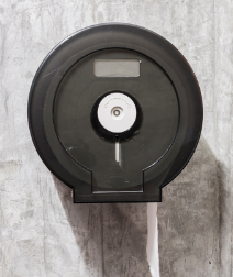 Tualetinio popieriaus platintojas