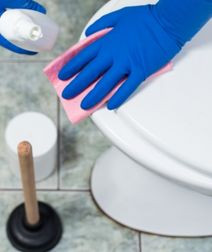 Sanitarinė priežiūra