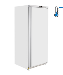 Profesionalus šaldytuvas su spinta